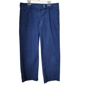 Ann Taylor Size 10 Blue Flat Front Chino Pants